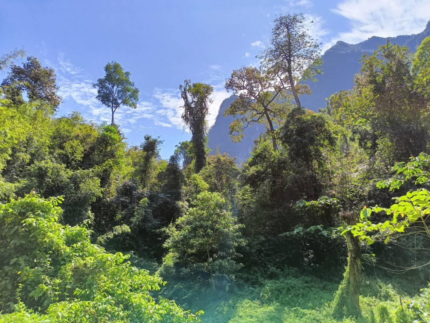 Khao Sok River & Jungle Bungalow Khao Sok National Park Bagian luar foto